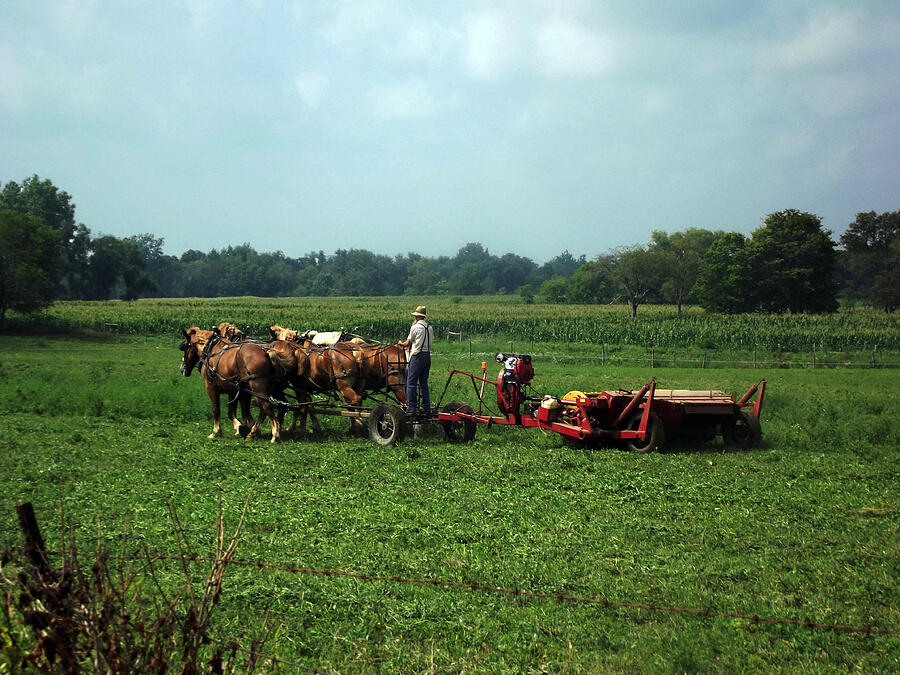Amish Field Work Photograph by Joyce  Wasser