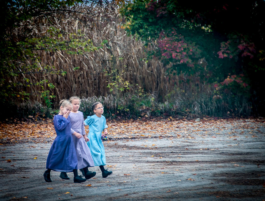 Amish Friends Photograph by Randall Branham