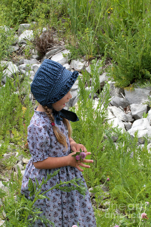 Amish Girl Photograph by Dwight Cook - Pixels