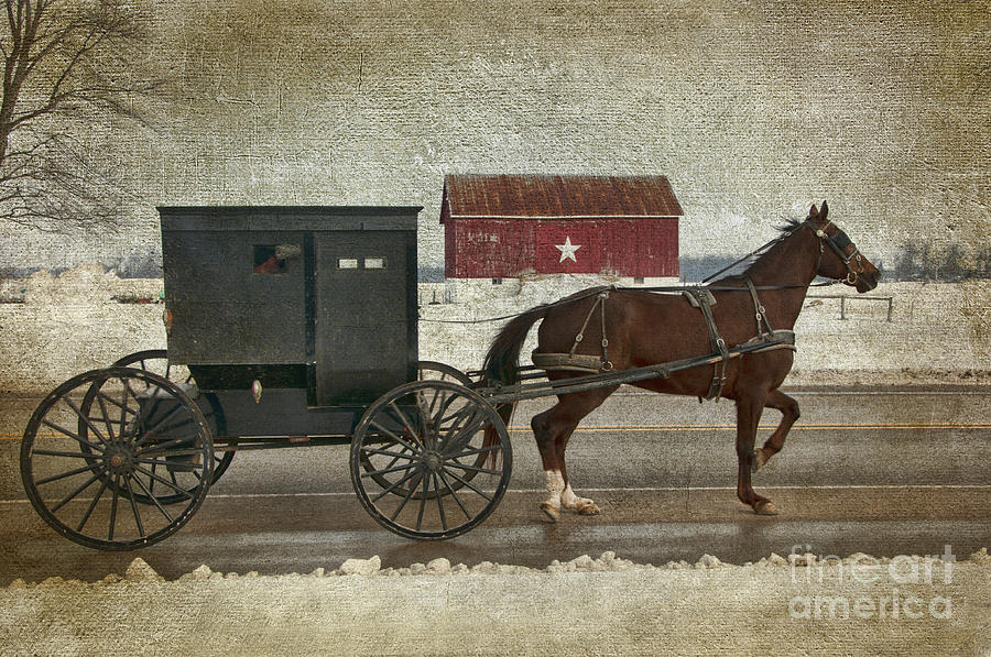 Amish Horse and Buggy and The Star Barn Photograph by David Arment