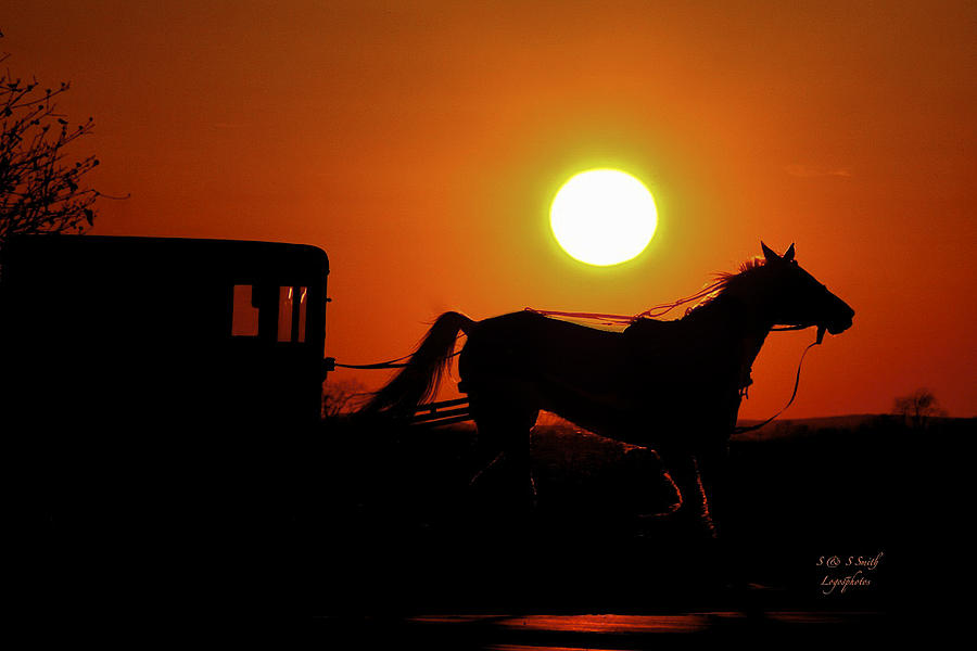 Amish Horse and Buggy Sunset Photograph by Steve and Sharon Smith