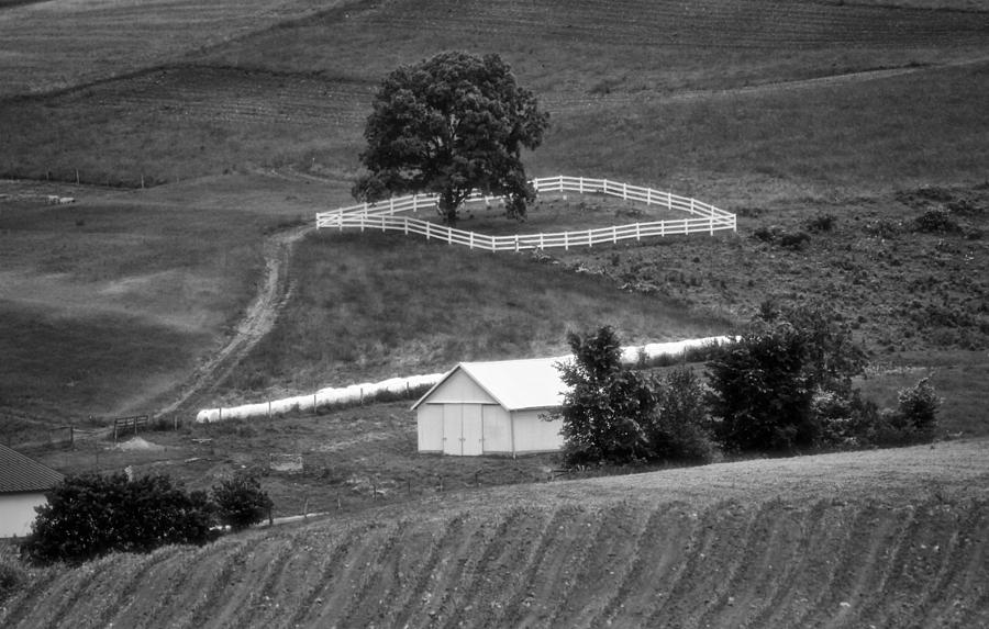 Amish Land Photograph by Dan Sproul