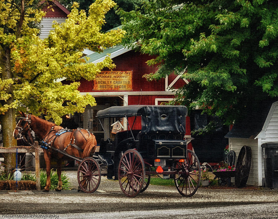Amish Life Photograph by Tricia Marchlik