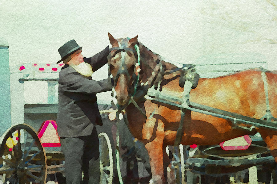 Amish Man and His Buggy Horse Photograph by Alice Gipson