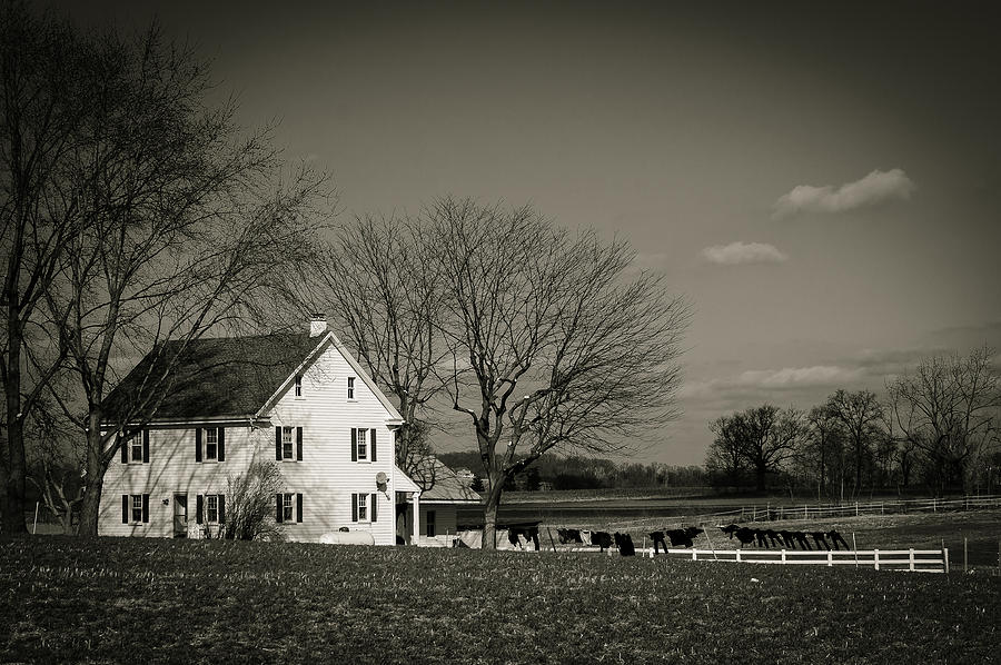 Amish Monotones Photograph by Dave Hall