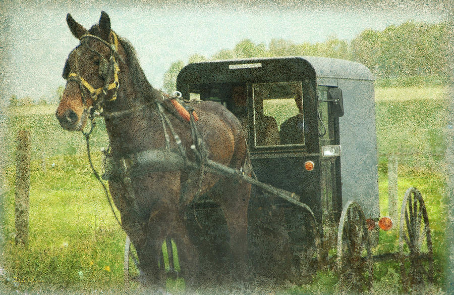 Amish of Lancaster County  Photograph by Dyle   Warren