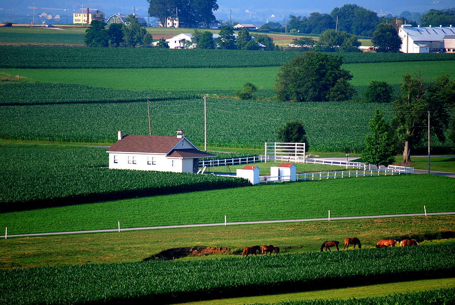 Amish School Photograph by Mary Beth Landis
