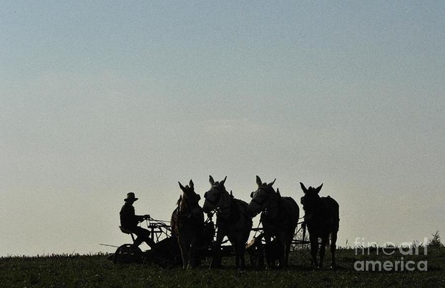 Amish Silhouette Photograph by R A W M