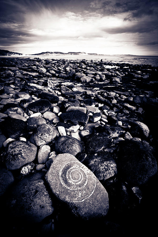 Ammonite In Rock Photograph by Urbancow