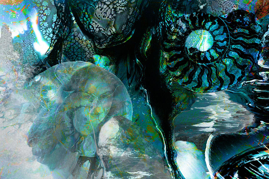 Ammonite Seascape Digital Art by Lisa Yount