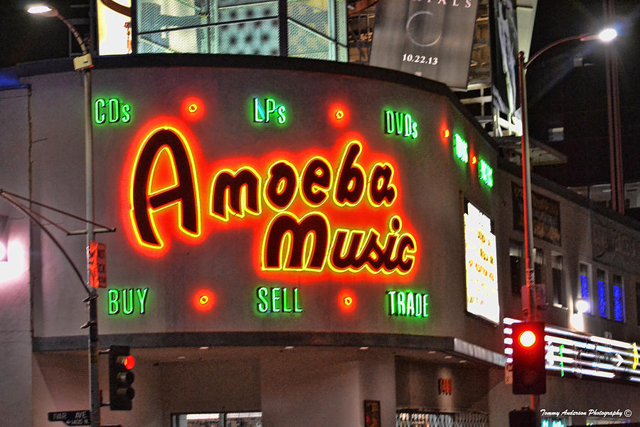 Amoeba Music 1 Photograph by Tommy Anderson