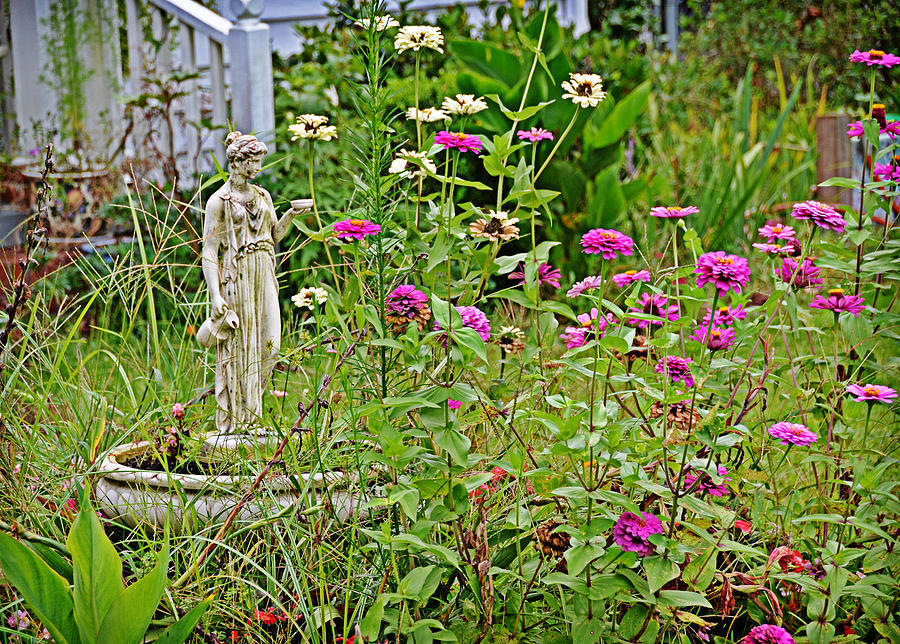 Among the Flowers Photograph by Linda Brown