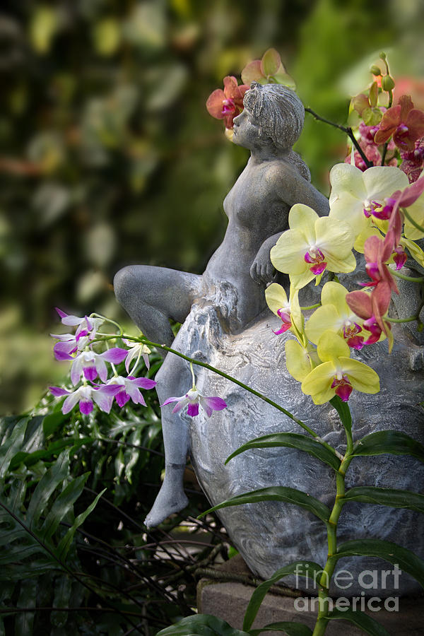 Among the Orchids Photograph by Jemmy Archer