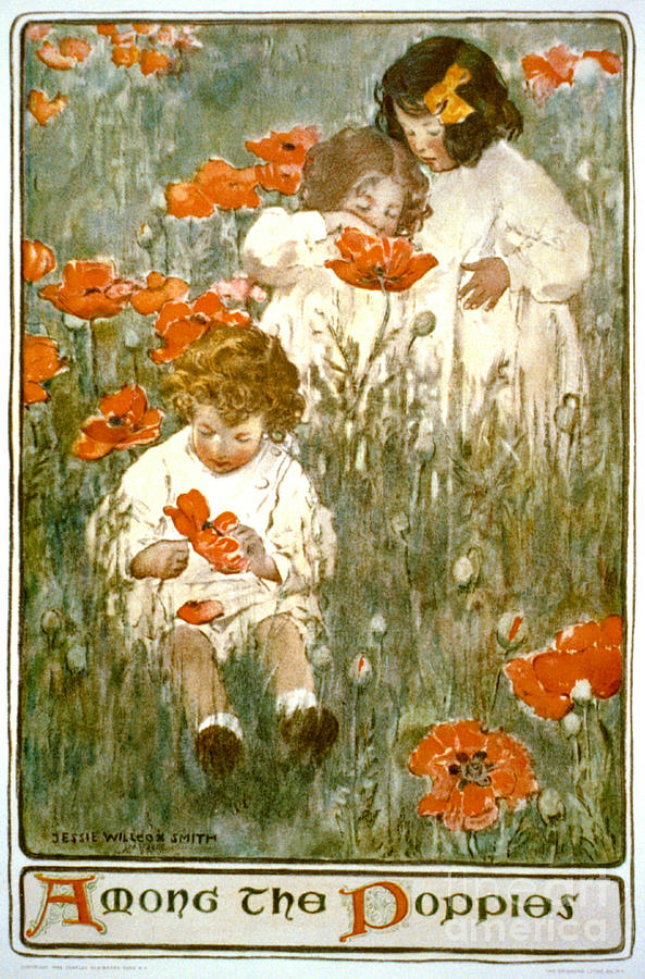Among the Poppies 1904 Photograph by Padre Art