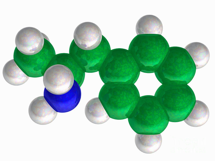 Amphetamine, Molecular Model Photograph by Scott Camazine