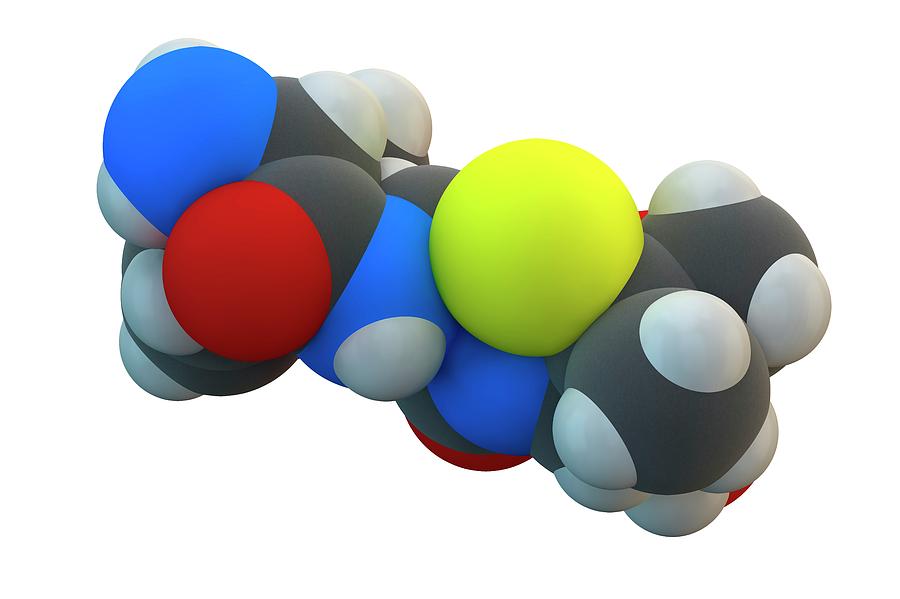 Ampicillin Antibiotic Drug Molecule Photograph by Ella Maru Studio ...