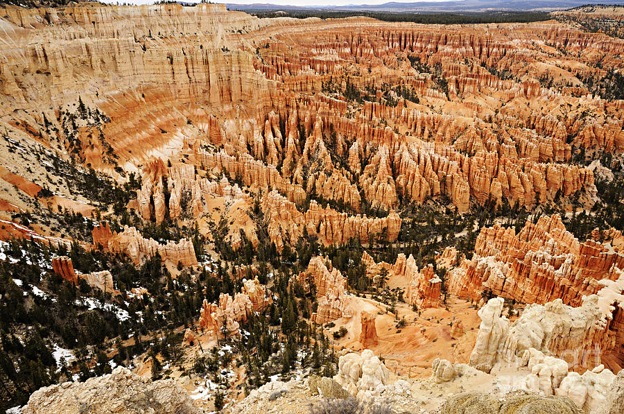 Amphitheatre at Bryce Canyon Photograph by Larry Ricker