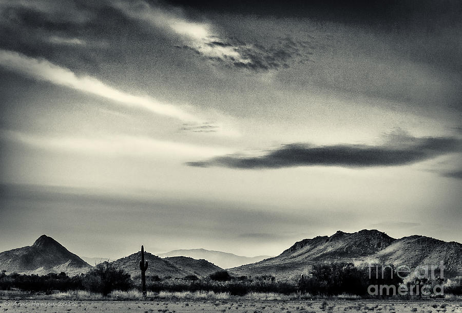 Mountain Photograph - AMPs Field by Arne Hansen