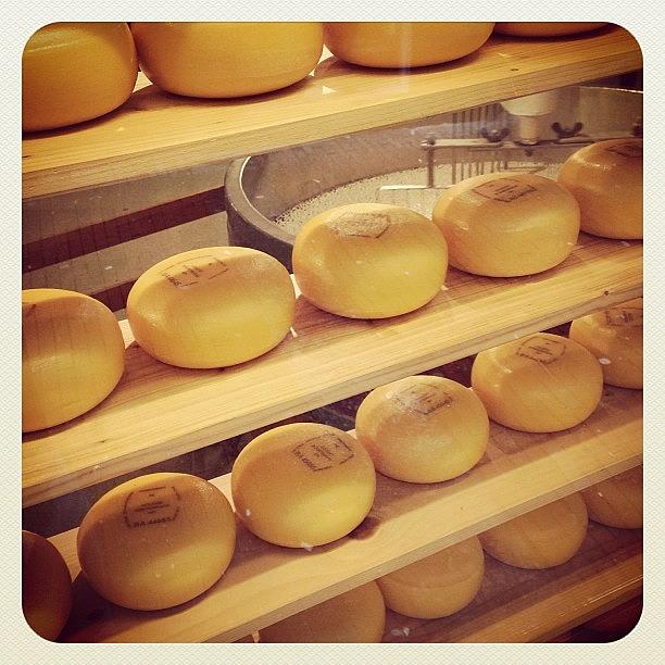 Cheese Photograph - Amsterdam 4 #amsterdam #cheese by Michele Pennisi