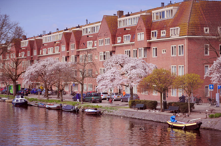 Amsterdam Canal. Pink Spring in Amsterdam Photograph by Jenny Rainbow