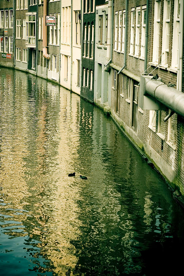 Amsterdam canal Photograph by Raimond Klavins
