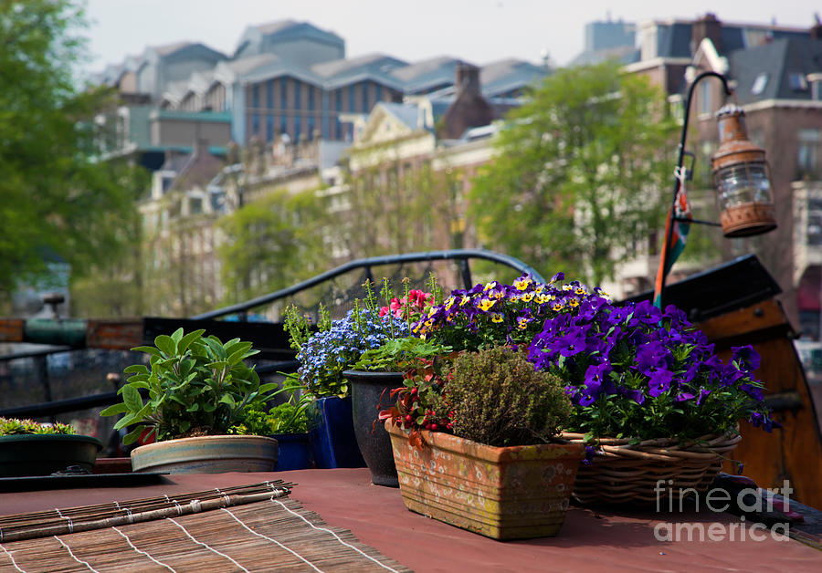 Architecture Photograph - Amsterdam Flowers on a boat by Michal Bednarek