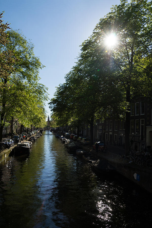 Amsterdam Spring - Green Sunny and Beautiful Photograph by Georgia Mizuleva