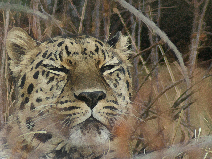 Amur Leopard 1 Digital Art by Ernest Echols