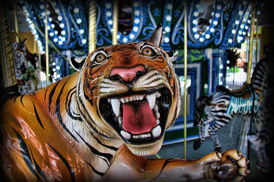 Amusement Ride - The Carousel Tiger II Photograph by Lee Dos Santos