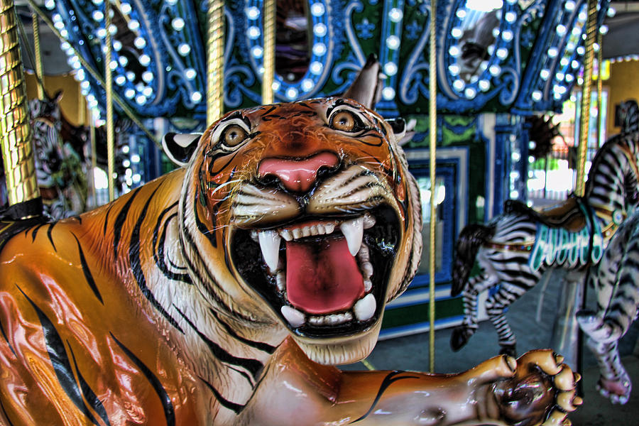 Salk & Holley ride a tiger carousel 