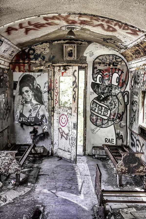 Graffiti Train II Photograph by David Letts