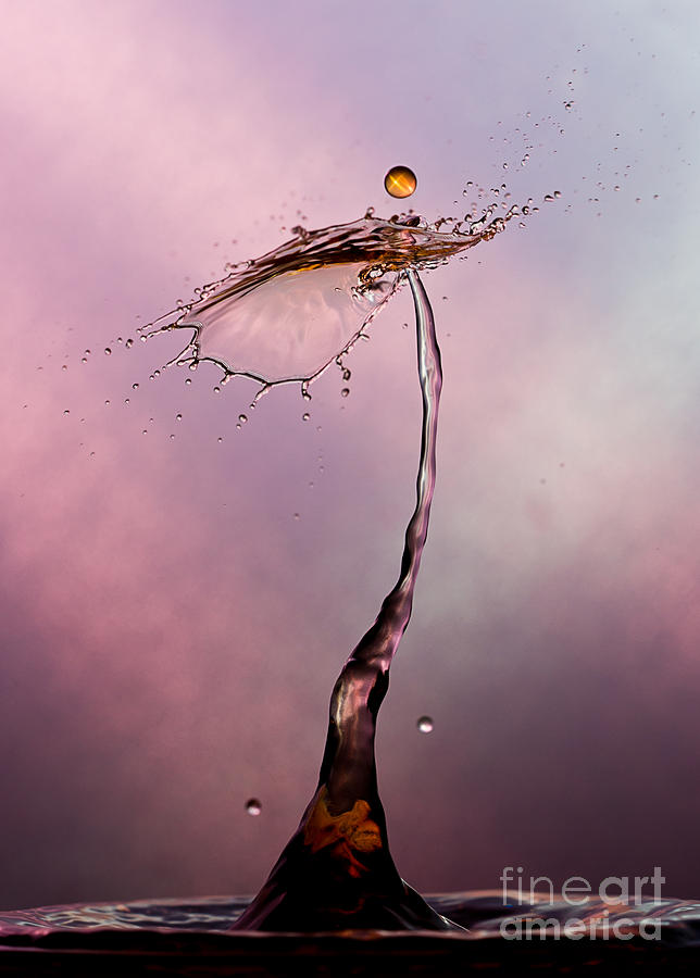 An abstract form made with liquid drops collision Photograph by Jaroslaw Blaminsky