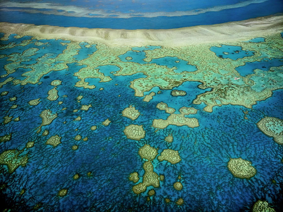 An Aerial View Of The Islands Of The Photograph by Mint Images - Art Wolfe