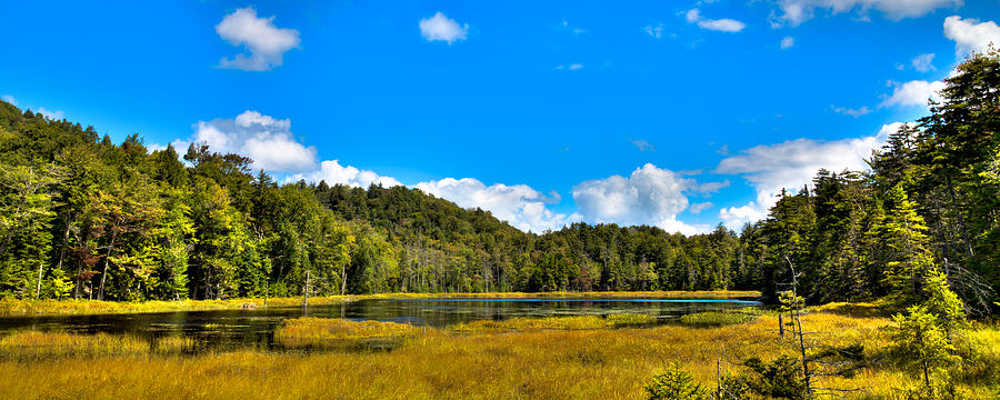 An Afternoon at Fly Pond Photograph by David Patterson