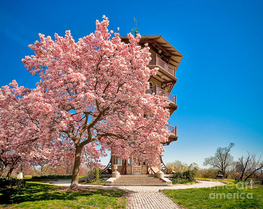 An Afternoon At Patterson Park Photograph by SCB Captures