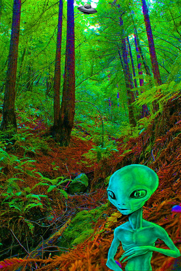 An Alien in a Cosmic Forest of Time Photograph by Ben Upham III
