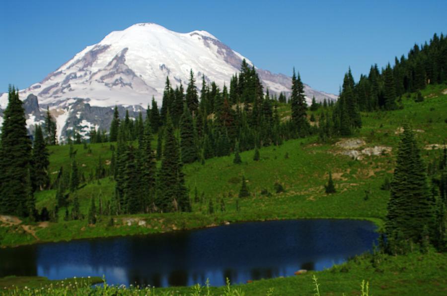 Nature Photograph - An Alpine Lake Foreground Mt Rainer by Jeff Swan