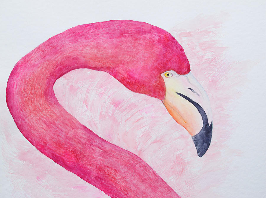 An American Flamingo In Galapagos Painting by Patricia Beebe