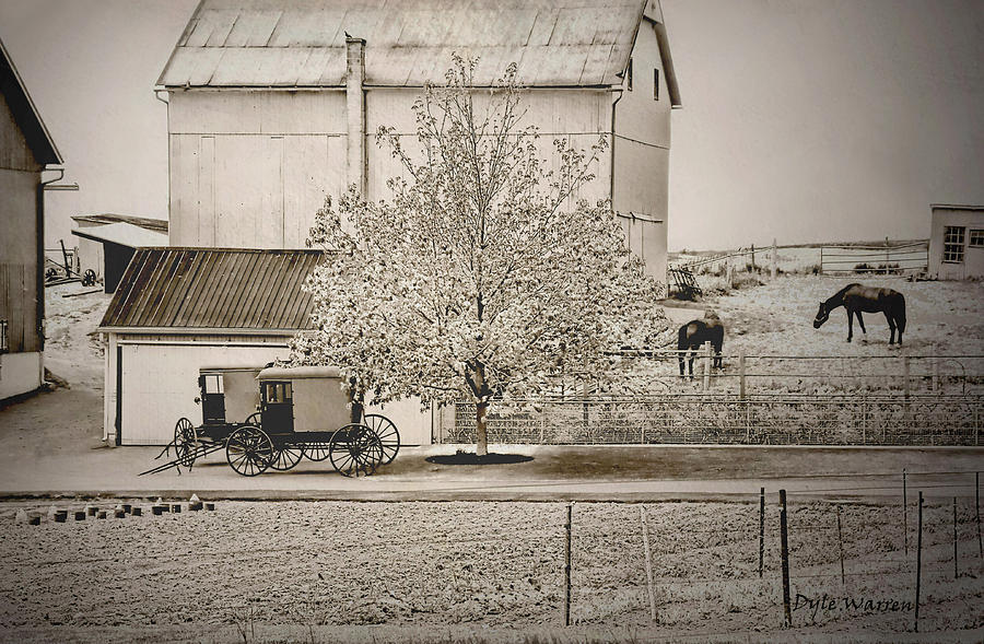 An Amish Farm in Sepia Photograph by Dyle   Warren