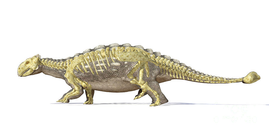 An Ankylosaurus Dinosaur With Full Digital Art by Leonello Calvetti