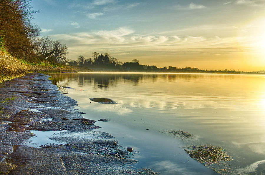 An April morning on the Estuary  Photograph by Martina Fagan