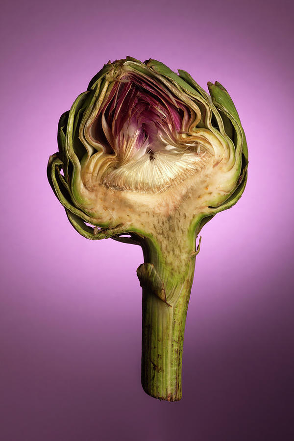 An Artichoke Half In Mid-air On A Photograph by Larry Washburn