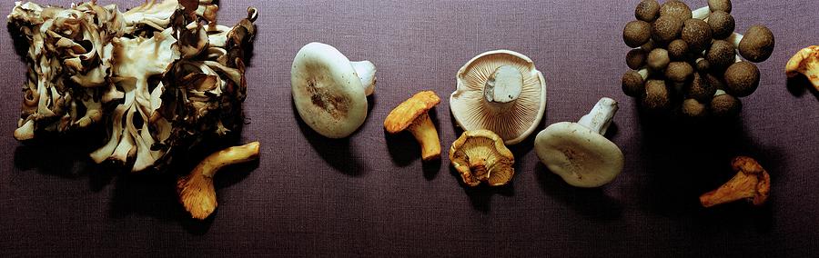 An Assortment Of Mushrooms Photograph by Romulo Yanes