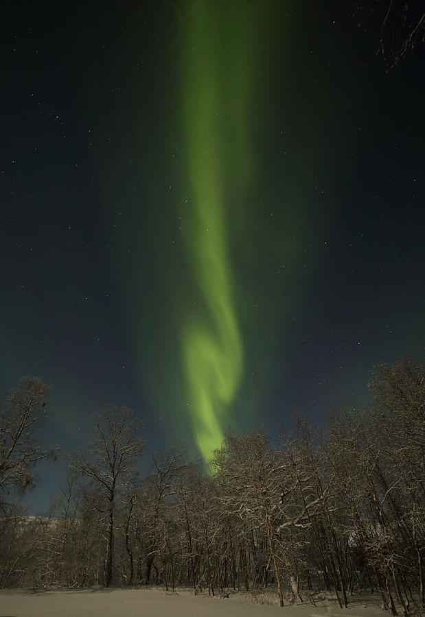 An Aurora Column Photograph by Pekka Sammallahti