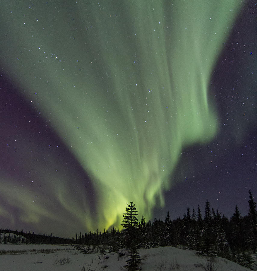 An Aurora Wave Photograph by Valerie Pond