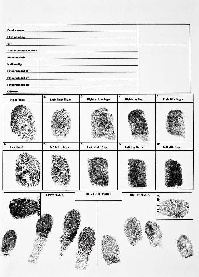 An authentic form of fingerprints Photograph by Labsas