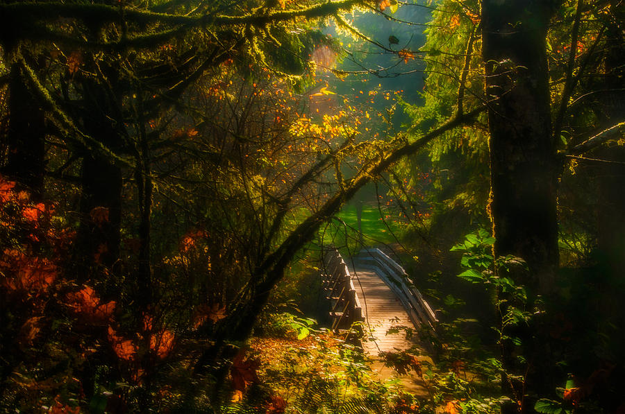 An Autumn Day at Silver Falls State Park Photograph by Larry Goss