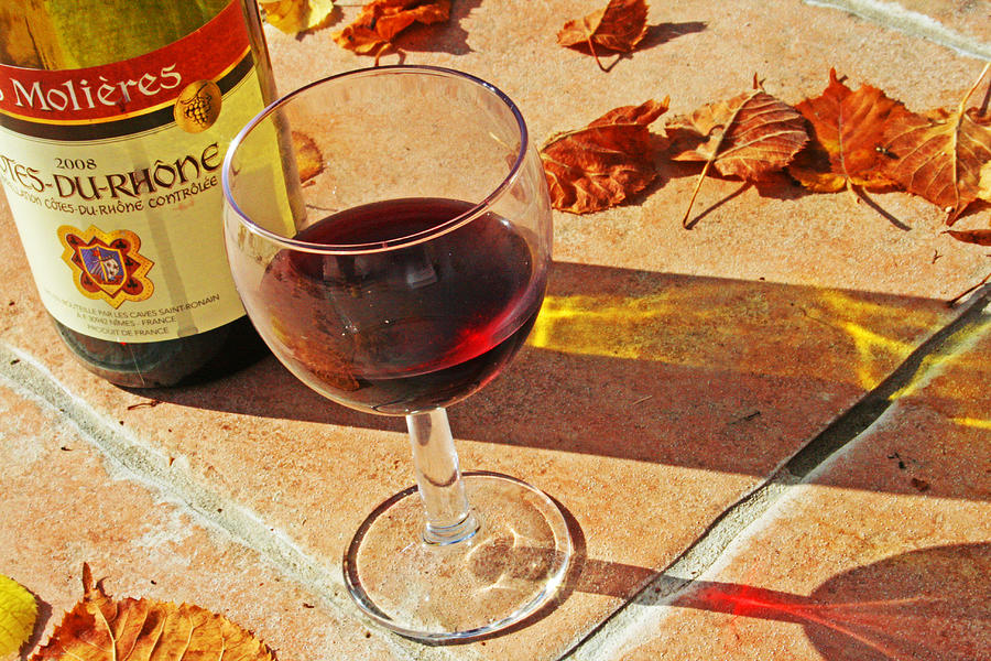 An Autumn Glass of Red Photograph by Georgia Clare