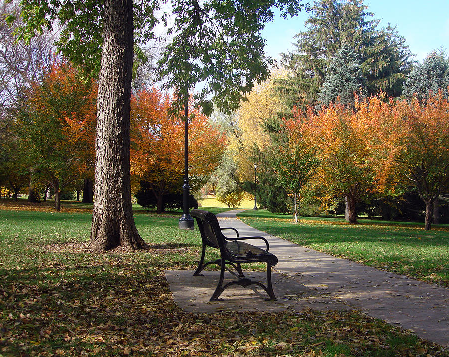 An Autumn Resting Place Photograph by Ellen Tully