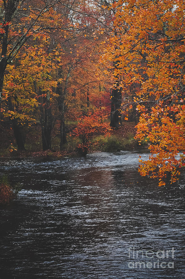 Fall Photograph - An Autumn River by AJ Goldian